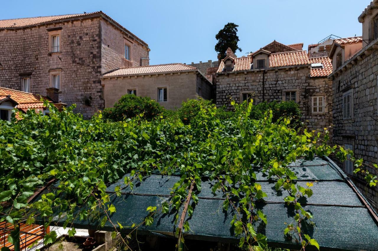 Apartment Apartman Jelena